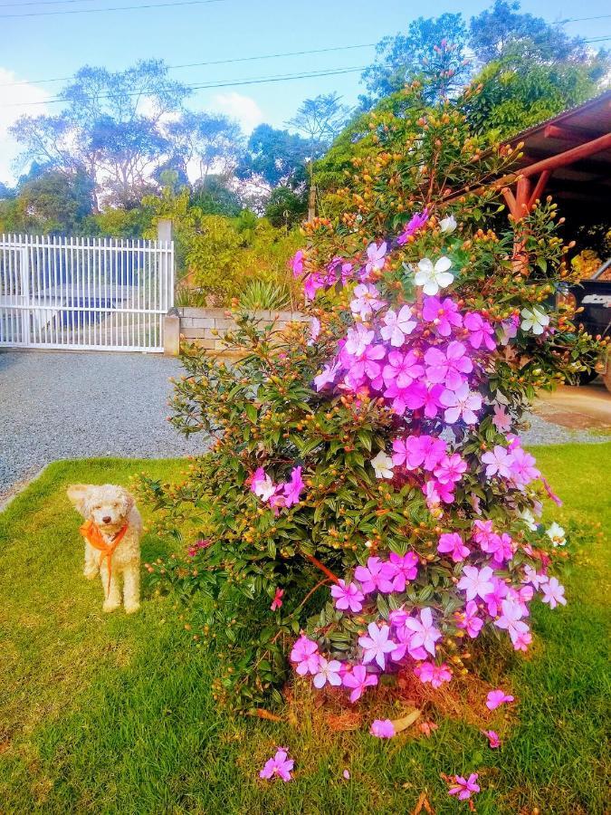 Le Petit Chérie Blumenau Extérieur photo